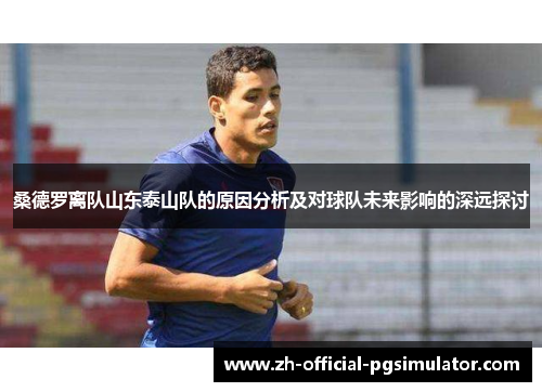 桑德罗离队山东泰山队的原因分析及对球队未来影响的深远探讨