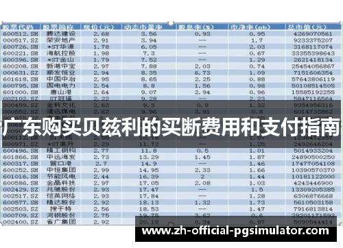 广东购买贝兹利的买断费用和支付指南