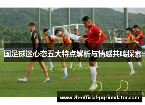 国足球迷心态五大特点解析与情感共鸣探索