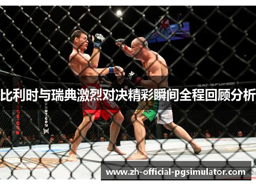 比利时与瑞典激烈对决精彩瞬间全程回顾分析