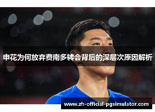 申花为何放弃费南多转会背后的深层次原因解析