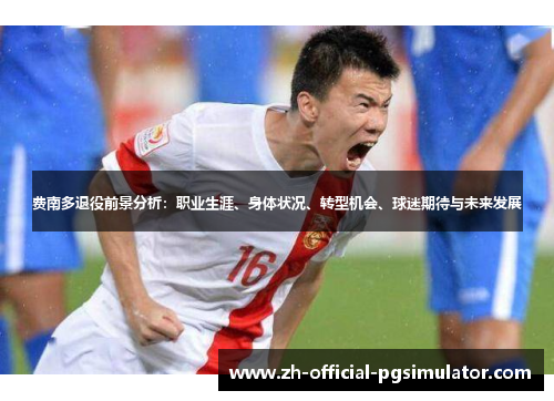 费南多退役前景分析：职业生涯、身体状况、转型机会、球迷期待与未来发展