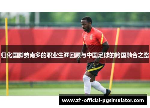归化国脚费南多的职业生涯回顾与中国足球的跨国融合之路 归化国脚费南多的职业生涯回顾与中国足球的跨国融合之路
