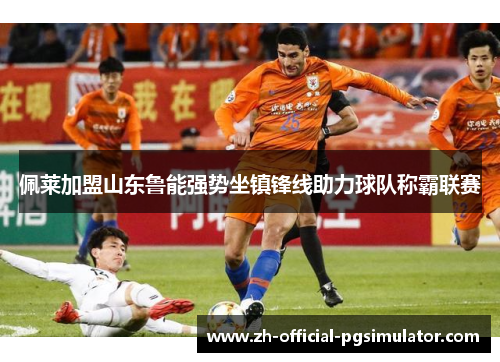 佩莱加盟山东鲁能强势坐镇锋线助力球队称霸联赛 佩莱加盟山东鲁能强势坐镇锋线助力球队称霸联赛