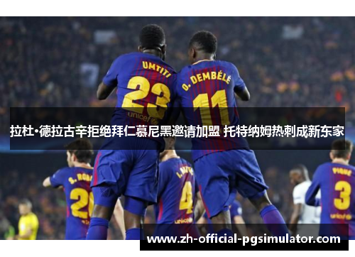 拉杜·德拉古辛拒绝拜仁慕尼黑邀请加盟 托特纳姆热刺成新东家