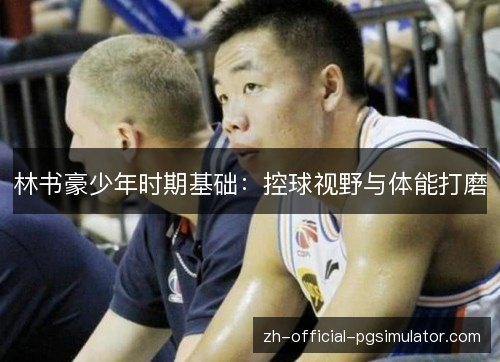 林书豪少年时期基础：控球视野与体能打磨